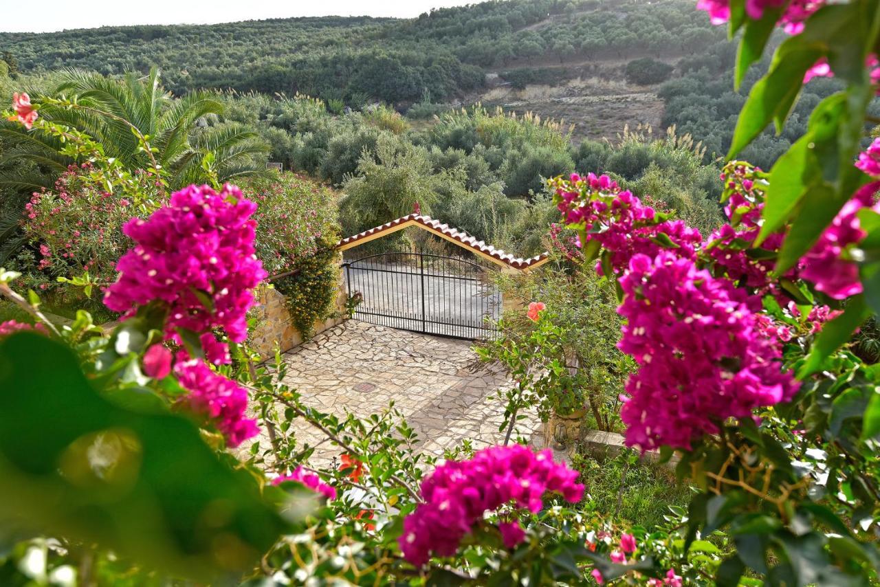 Olive Farm Agia Marina Exterior foto