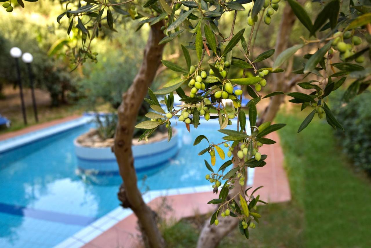 Olive Farm Agia Marina Exterior foto