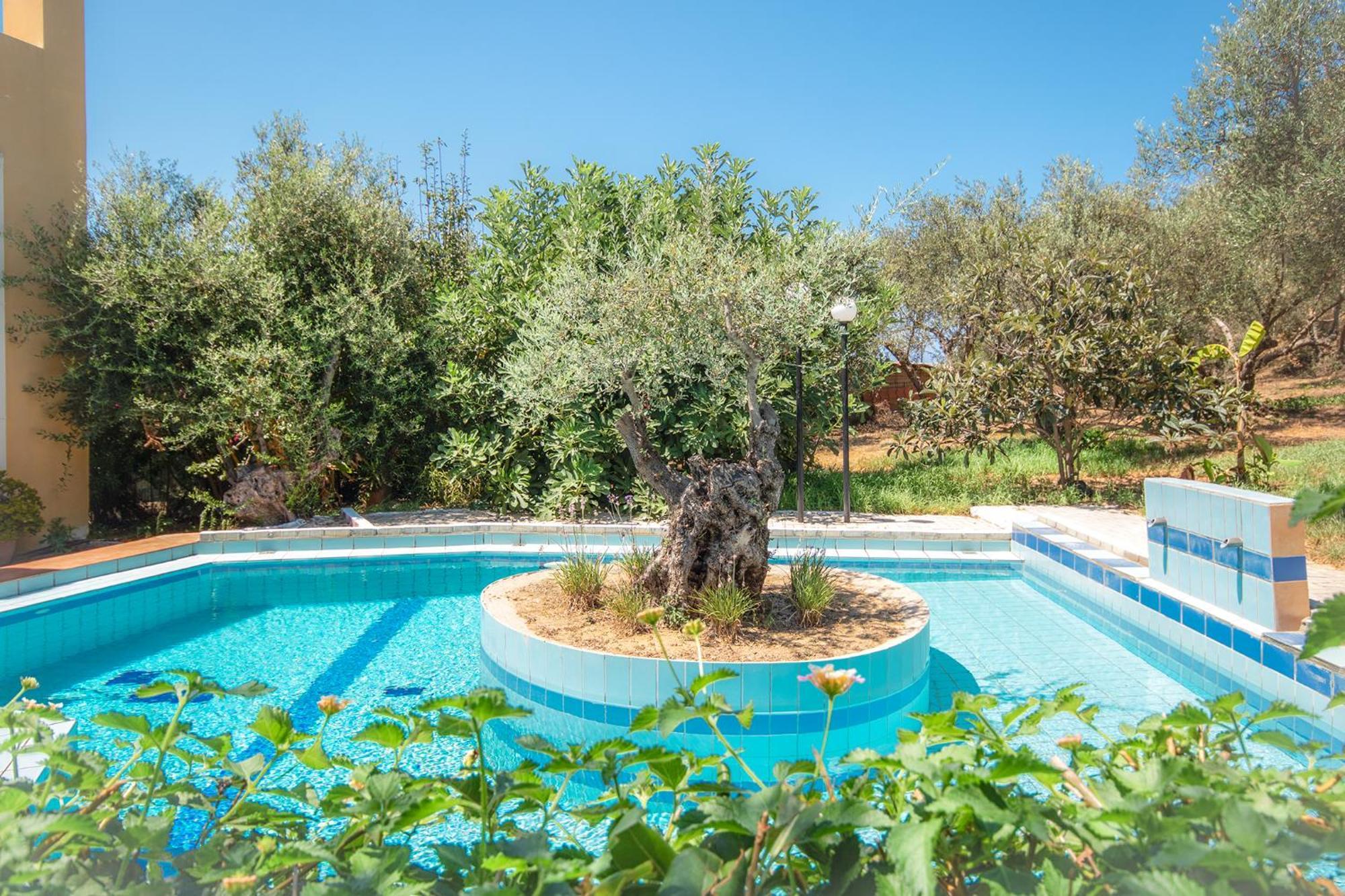 Olive Farm Agia Marina Exterior foto