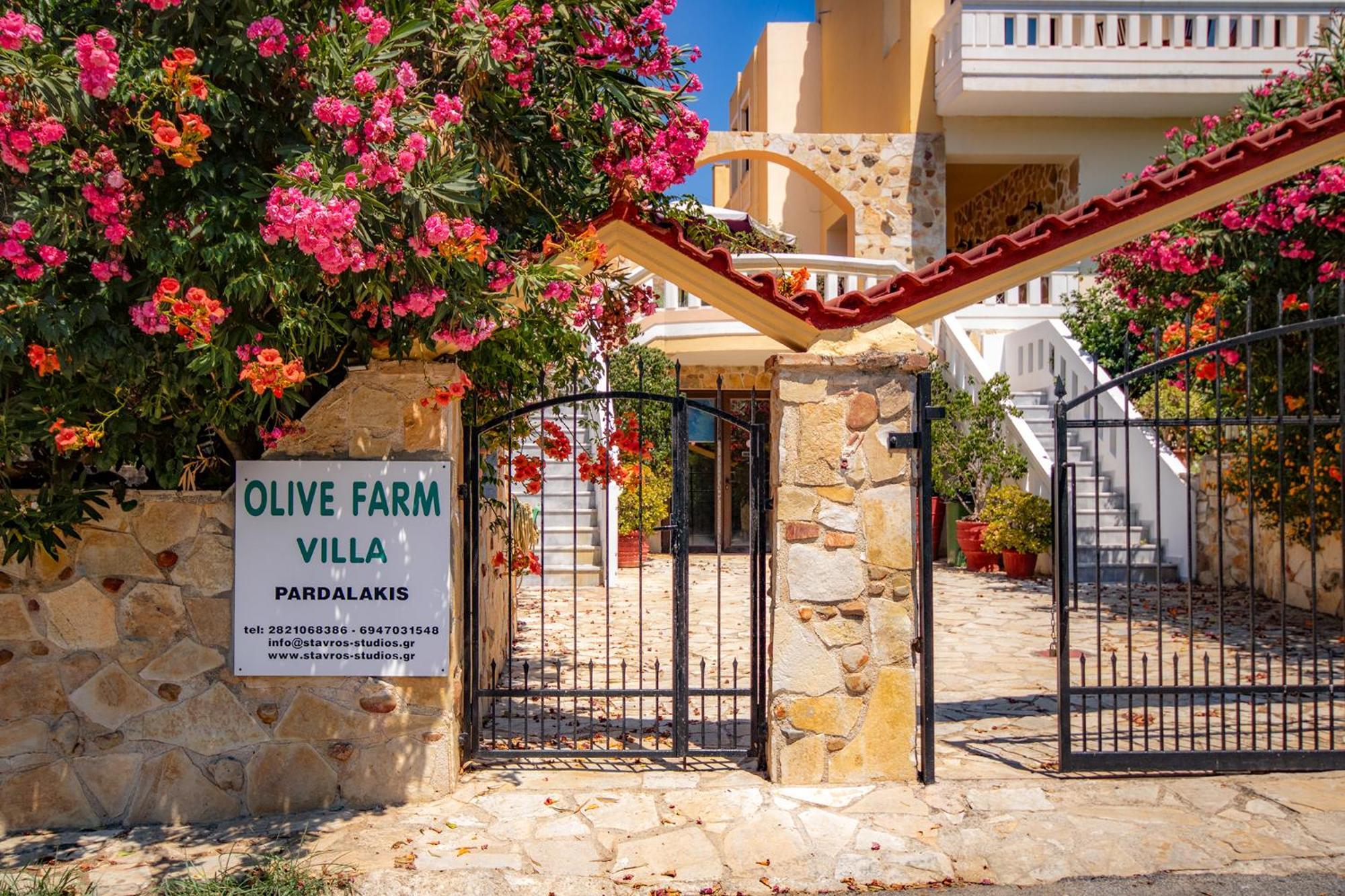 Olive Farm Agia Marina Exterior foto